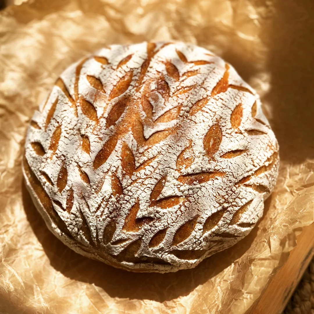 A round sourdough loaf with a leaf pattern scored into the top sitting on parchment paper